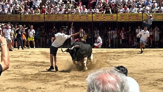 Intensa mañana taurina con «Batanero» como protagonista en su lidia