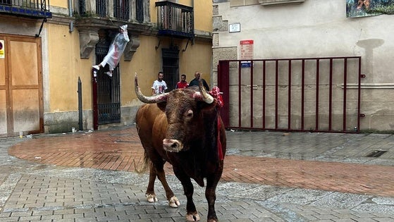 Última lidia de San Juan 2024 en Coria llena de emoción