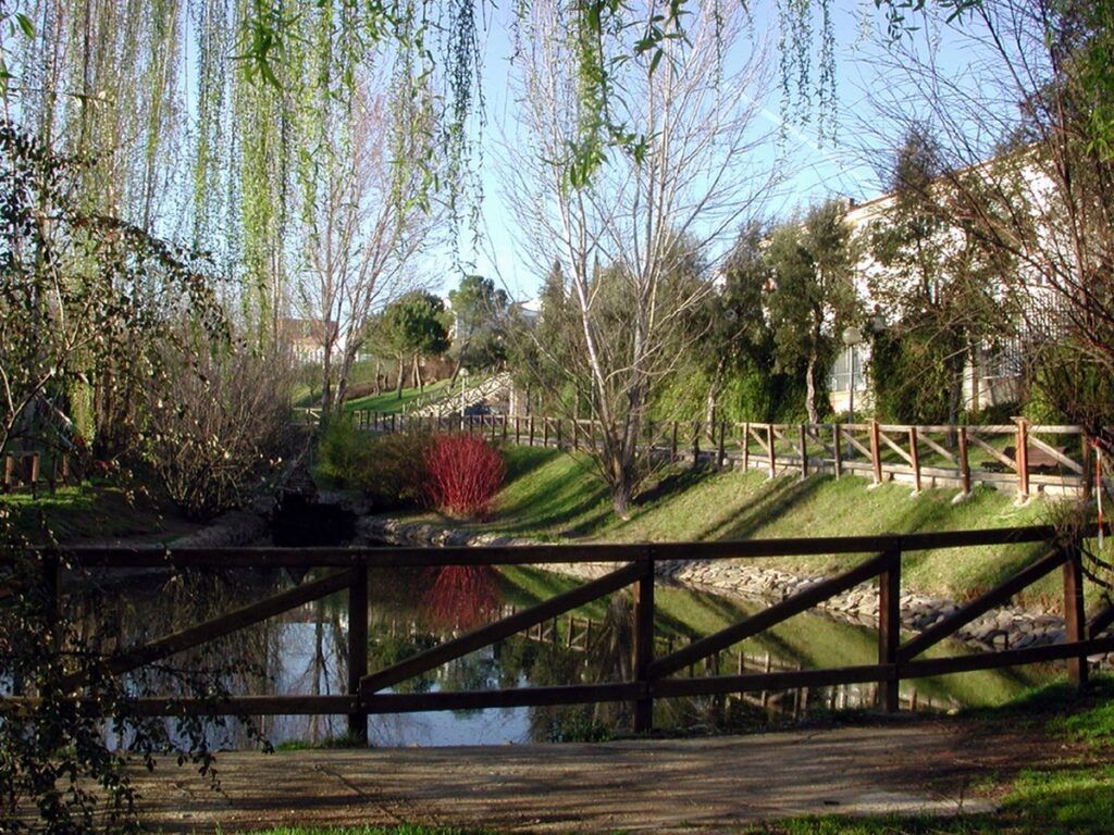 SOMOS CACERES propone que Coria se convierta en un municipio verde