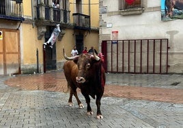 Matamoros durante su lidia.