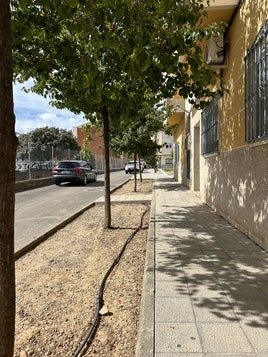 Calle Mezquita en Coria.