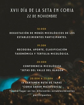 Cartel del día de la seta.