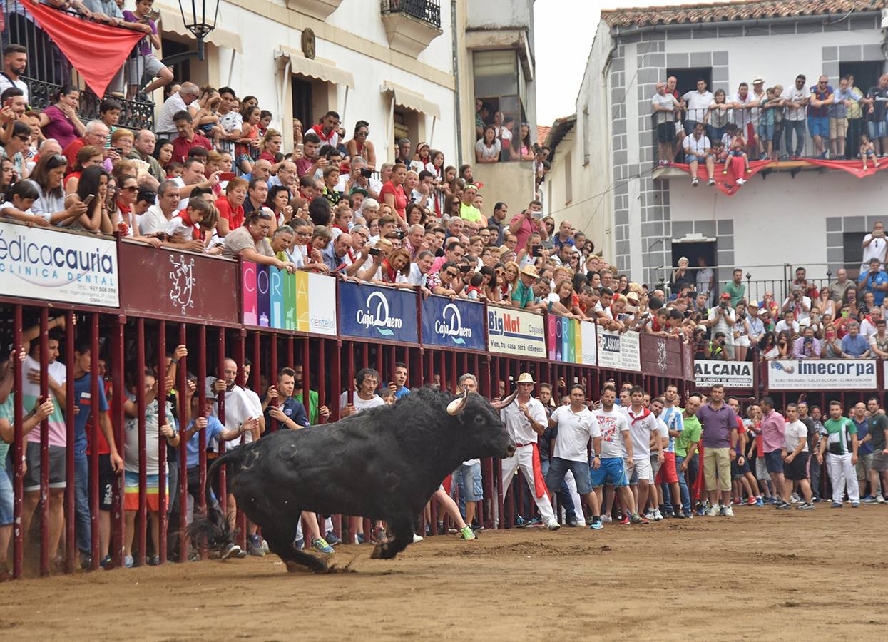 Pompito en la plaza