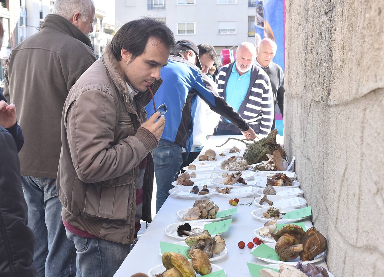 Se desarrollarán diversas actividades