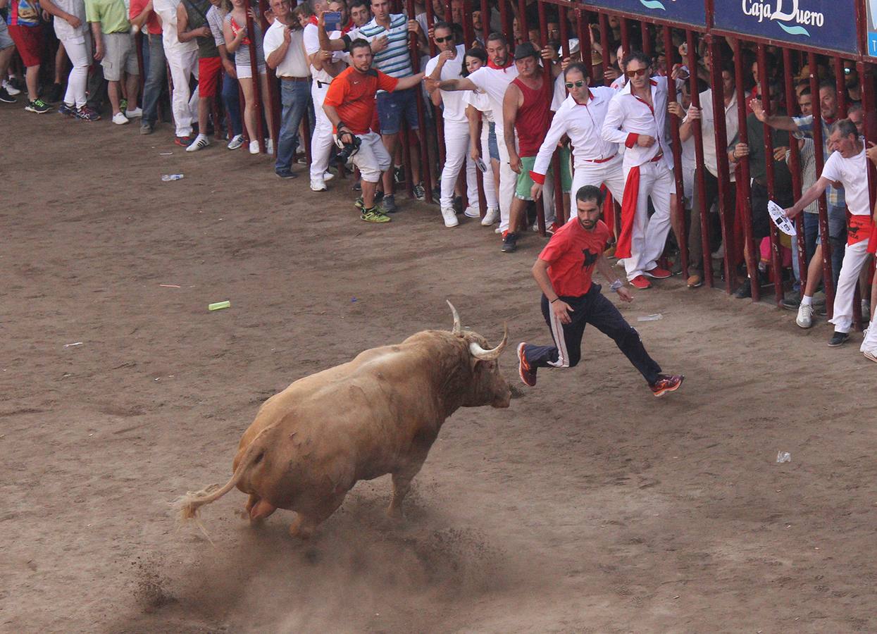 Rayito en la plaza