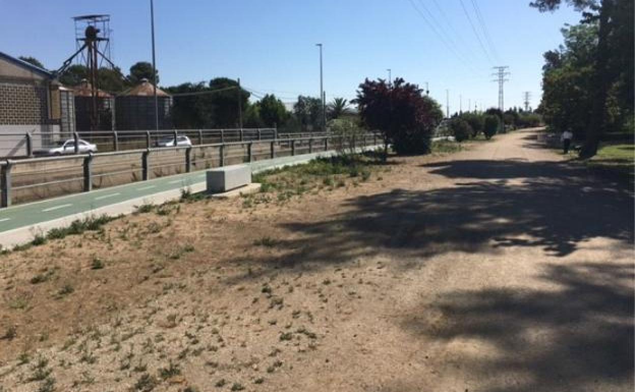 La actuación será en la zona próxima al parque municipal. 