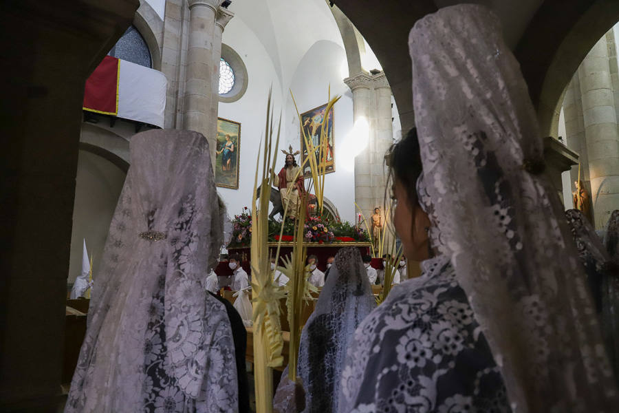 La Borriquita regresó a las calles el Domingo de Ramos.