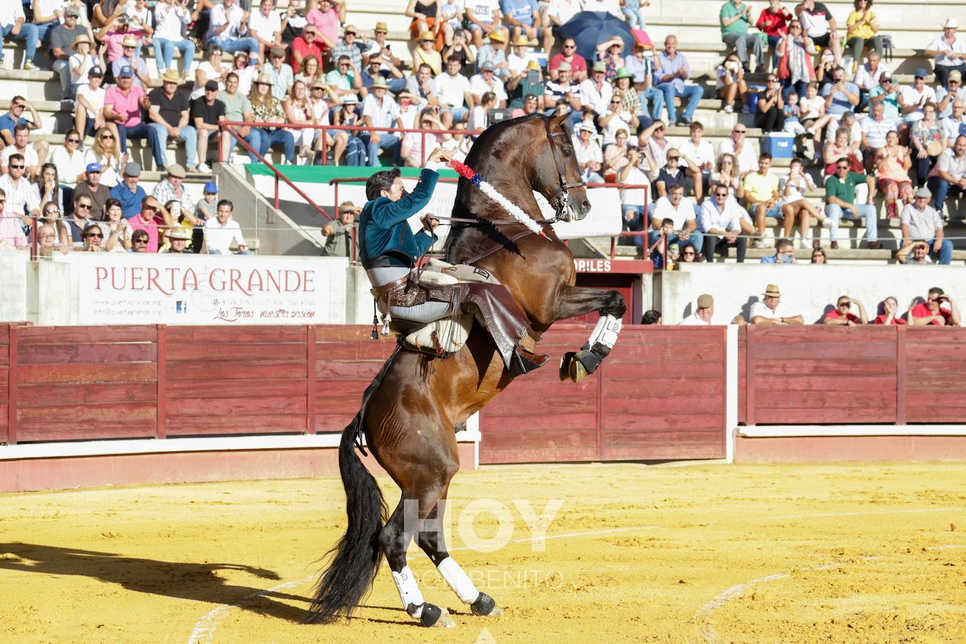 Corrida de toros mixta en la plaza de toros de Don Benito con motivo del día de Extremadura. 