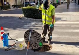 La empresa Andasur realiza desde 2020 las labores contra la plaga de cucarachas.