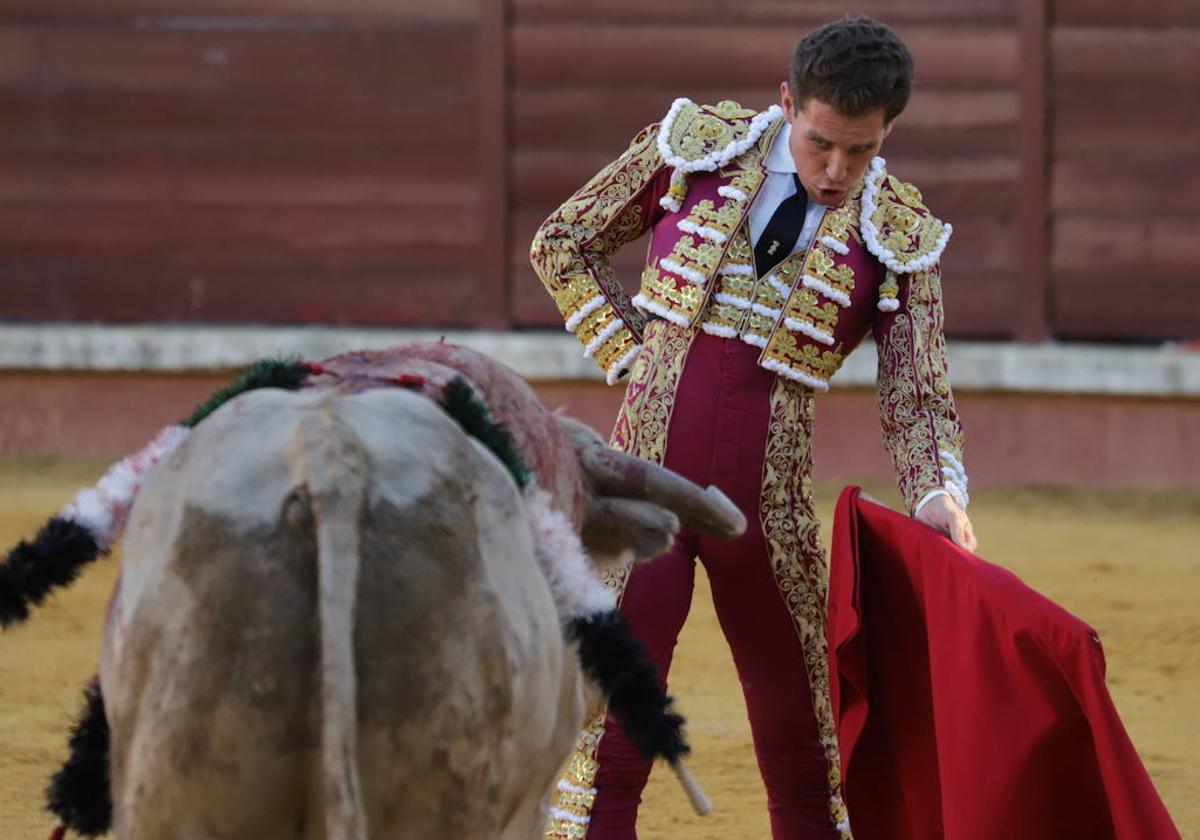 Ginés Marín sustituye a Morante este viernes en Don Benito