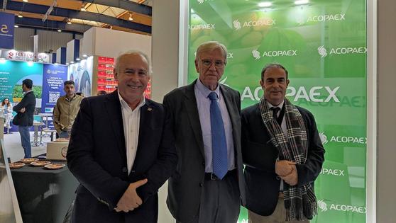 Acopaex cierra el año con un aumento en su facturación que alcanza los 125 millones