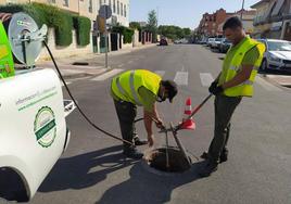 El Ayuntamiento destina 55.000 euros a combatir a ratas y cucarachas