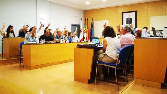 El Ayuntamiento destina 15.000 euros al control de colonias felinas