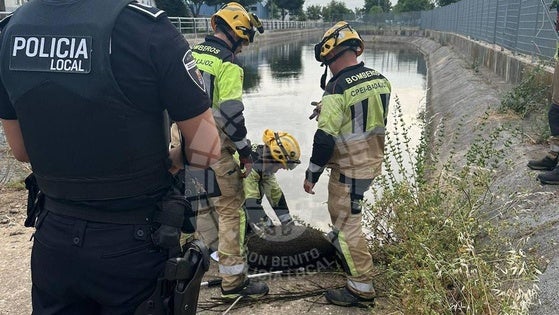 Policía Local y bomberos rescatan a un jabalí del canal