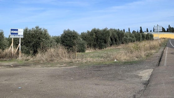 El Ayuntamiento generará más suelo industrial junto a la avenida de Madrid