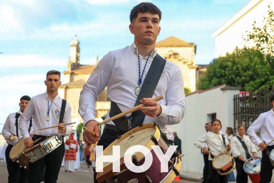 Imágenes de la procesión del Domingo de Ramos en Don Benito