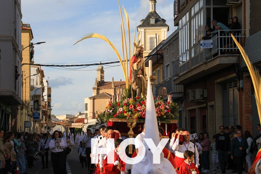 Imágenes de la procesión del Domingo de Ramos en Don Benito