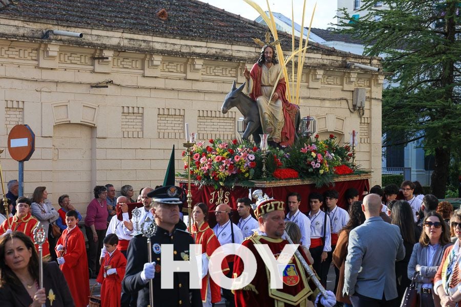 Imágenes de la procesión del Domingo de Ramos en Don Benito