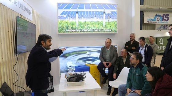 Nuevos sensores para controlar la producción de vino, aceite y fruta