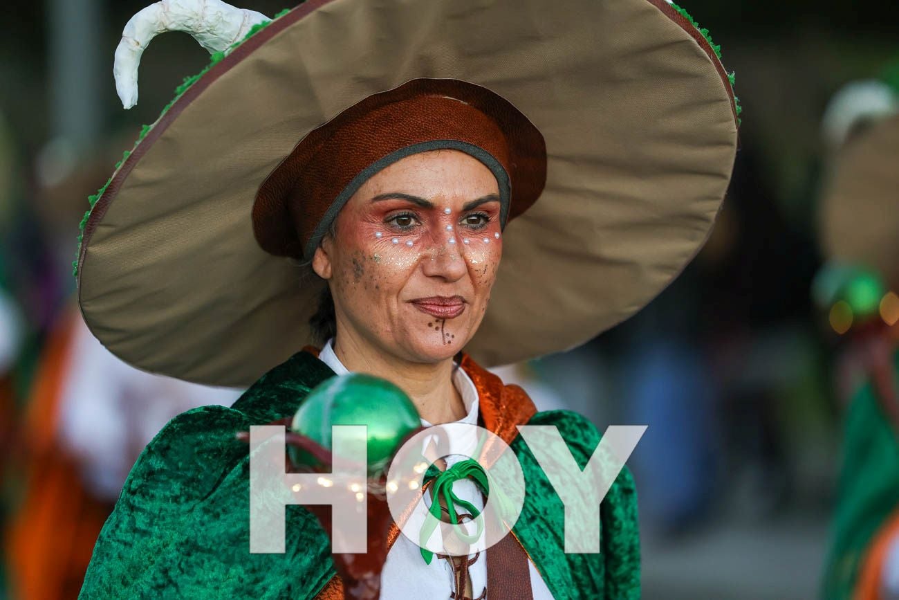 Fotos | Desfile de comparsas del Carnaval de Don Benito 2026 (I)