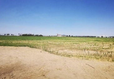 Las obras del nuevo polígono se adjudican por 4,56 millones de euros