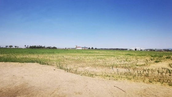 Las obras del nuevo polígono se adjudican por 4,56 millones de euros