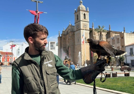 Nuevos vuelos de aves rapaces para ahuyentar a las palomas