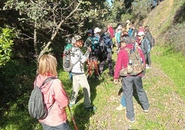 Amplia programación por el Día Mundial de la Salud