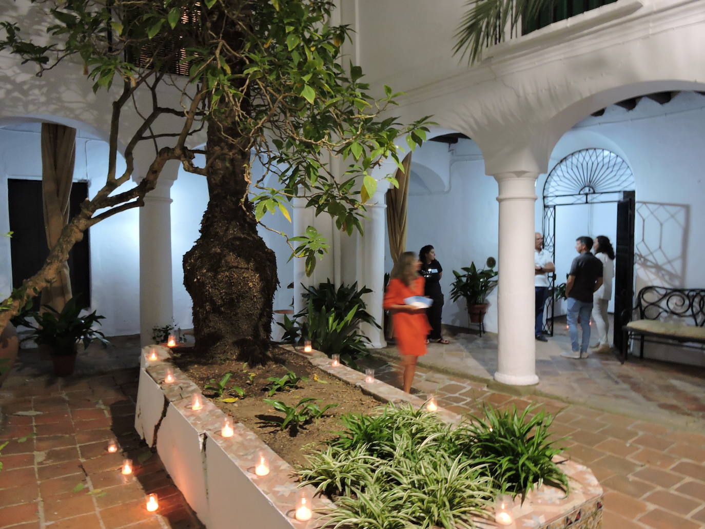 100 fotos sobre todas las actividades de la noche en blanco frexnense.