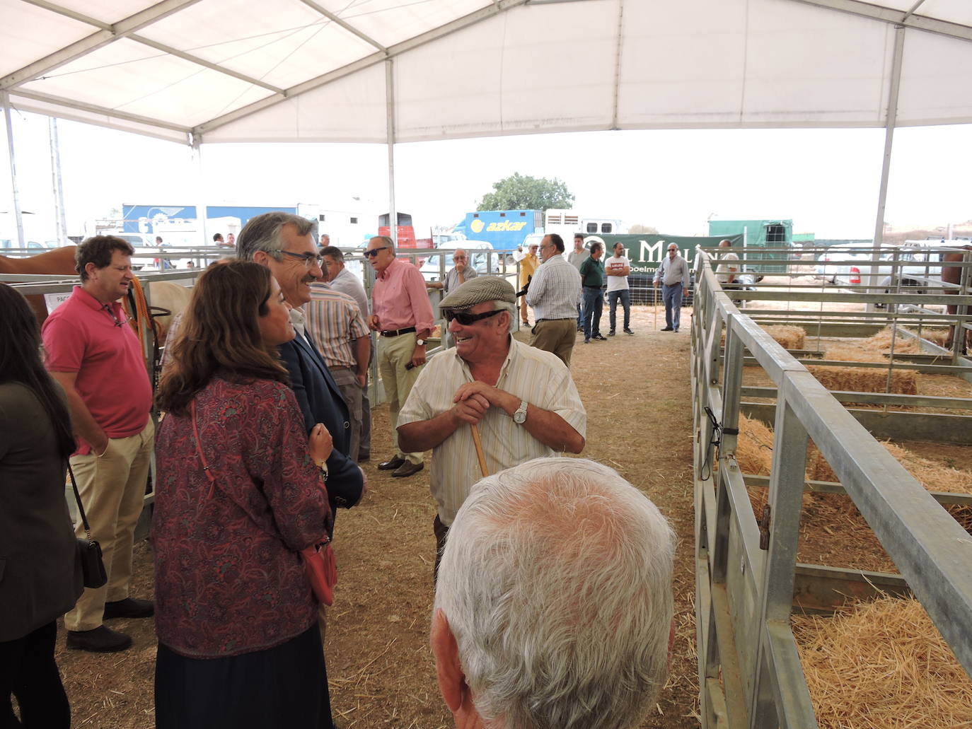 Fotos: FOTOS DE LAS FERIAS Y FIESTAS DE SAN MATEO 2019 - Parte 1