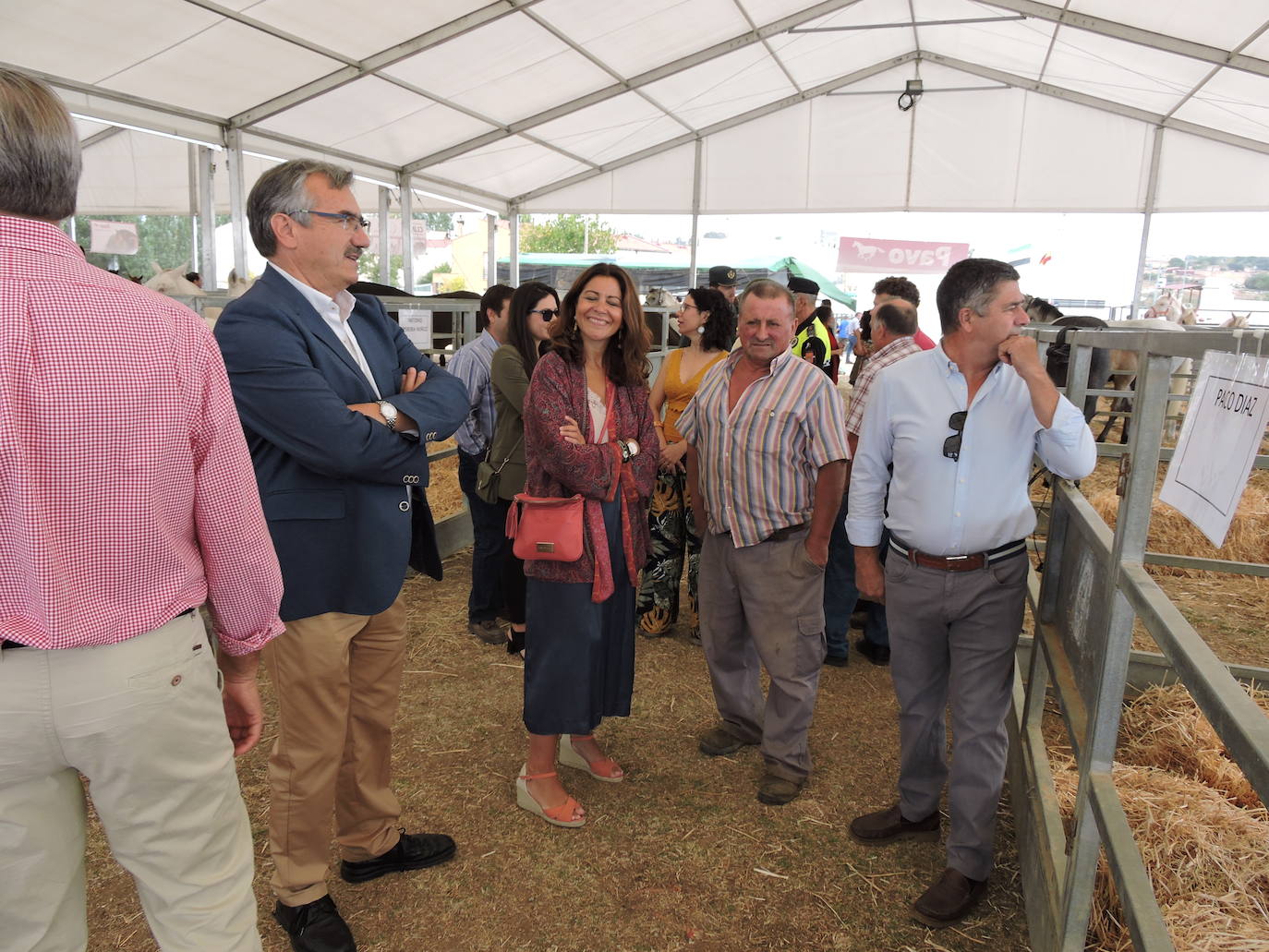 Fotos: FOTOS DE LAS FERIAS Y FIESTAS DE SAN MATEO 2019 - Parte 1