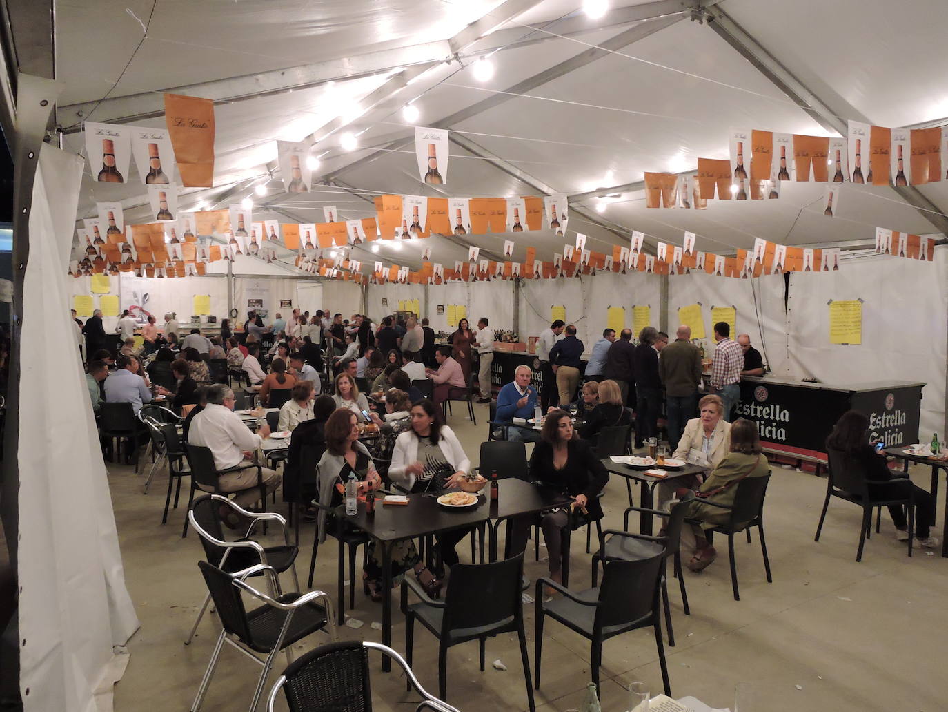 Fotos: FOTOS DE LAS FERIAS Y FIESTAS DE SAN MATEO 2019 - Parte 2