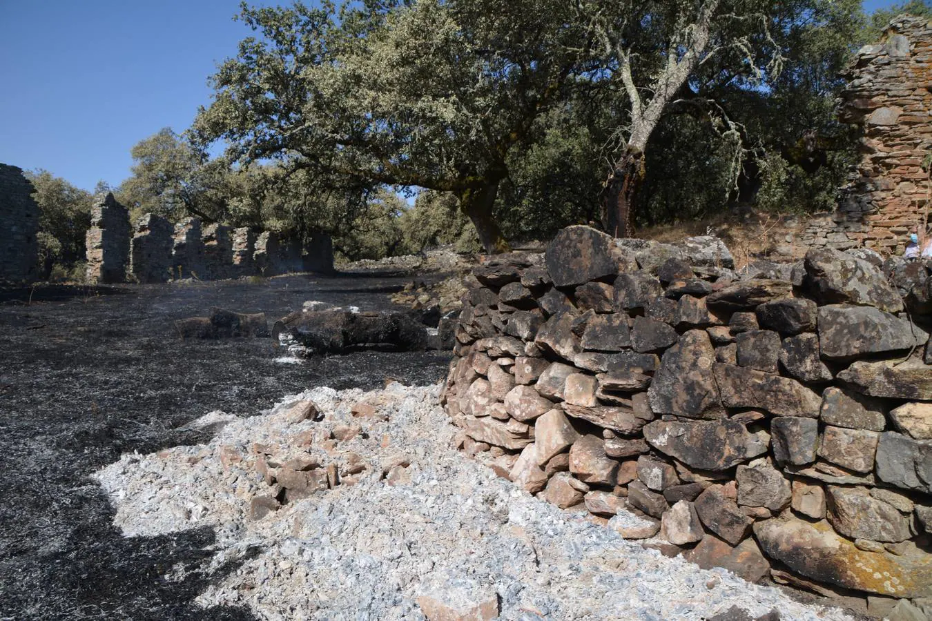 El fuego marca su huella en Nertóbriga 