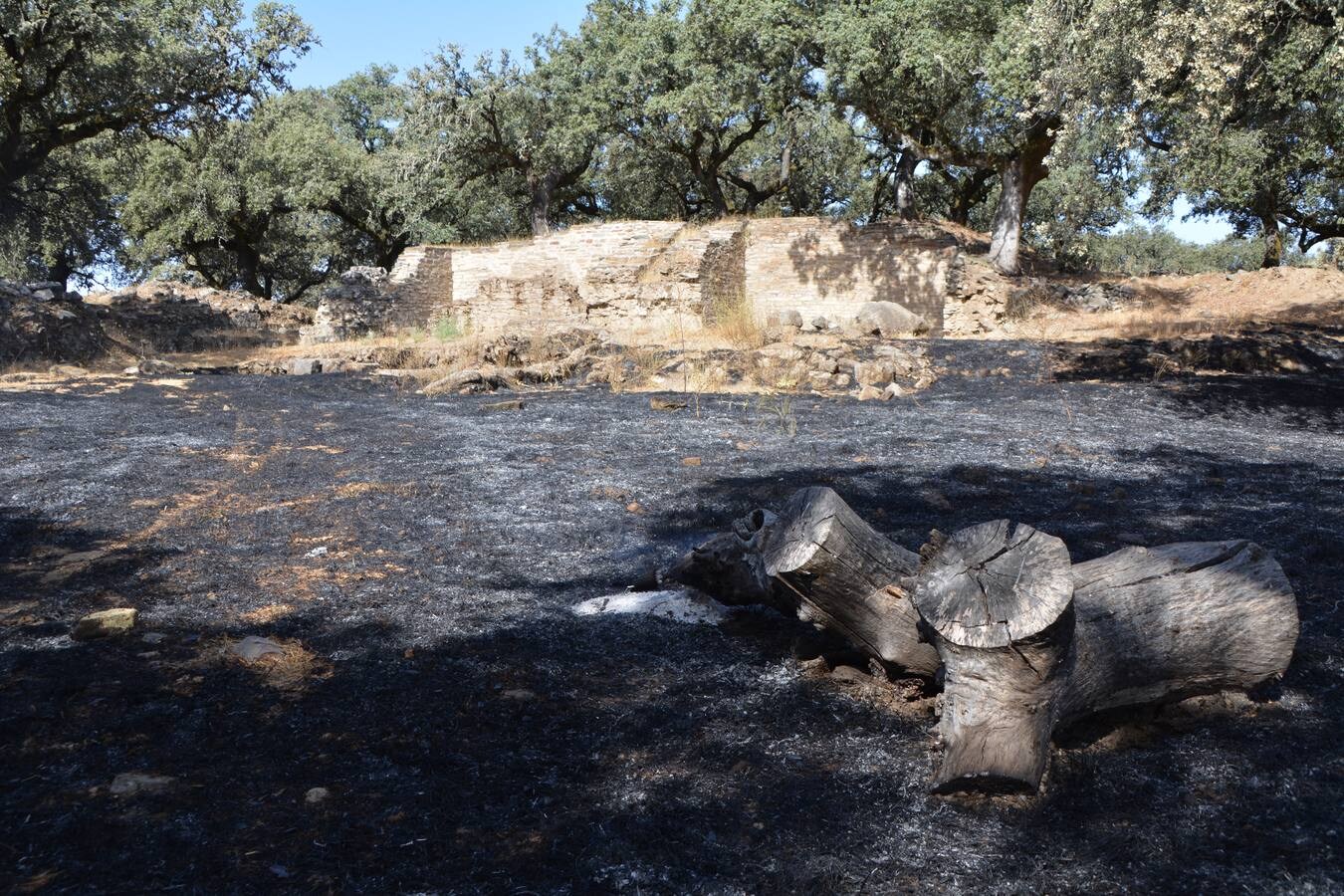 El fuego marca su huella en Nertóbriga 