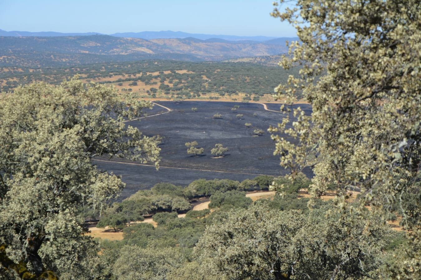 El fuego marca su huella en Nertóbriga 