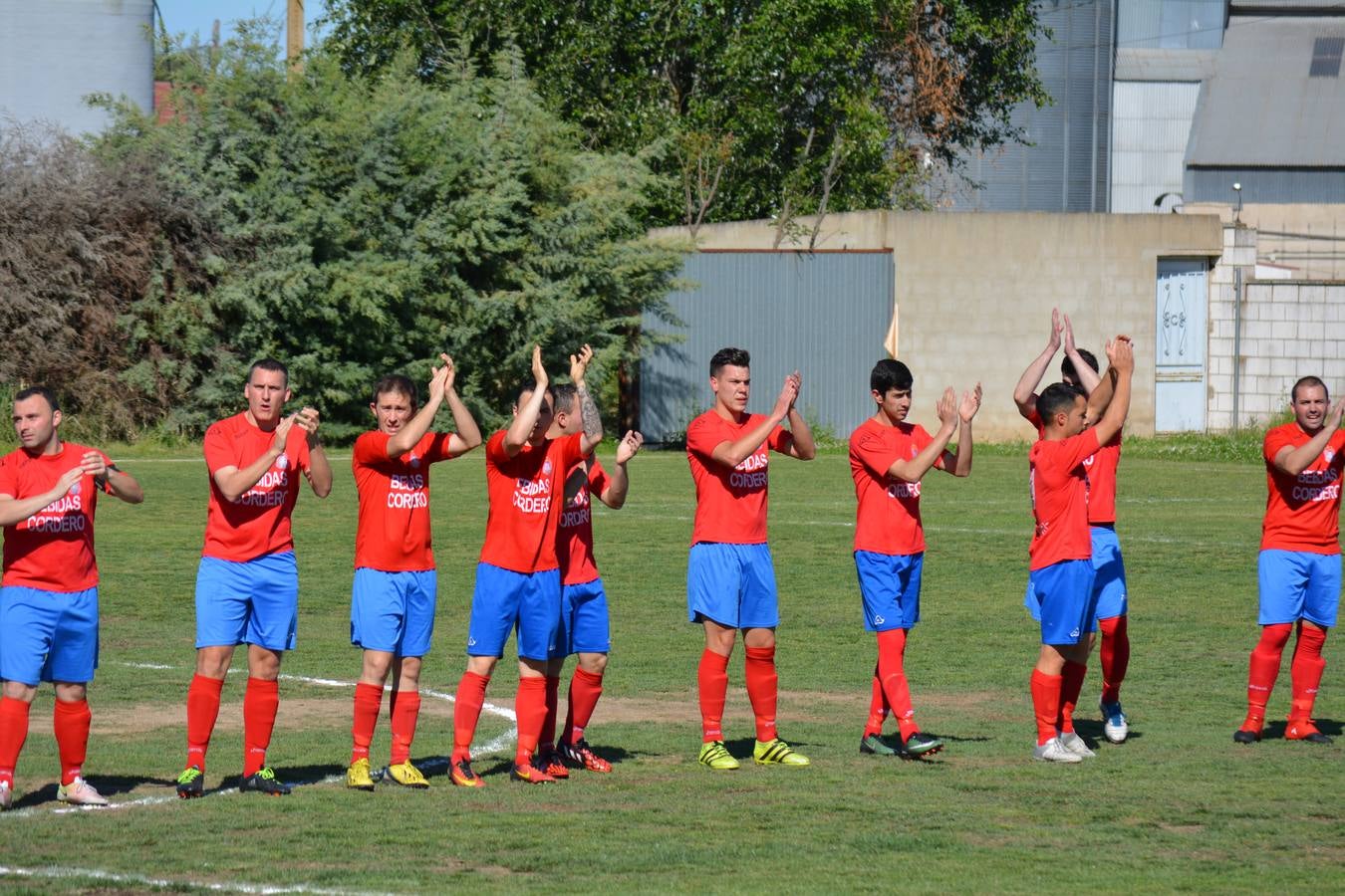 El bloque que saltó al terreno de juego hace siete días en El Torviscal. 