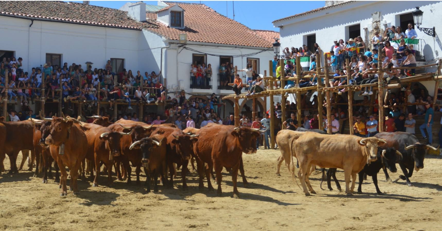 Segura de León vive hoy la festividad del Santisimo Cristo de la Reja