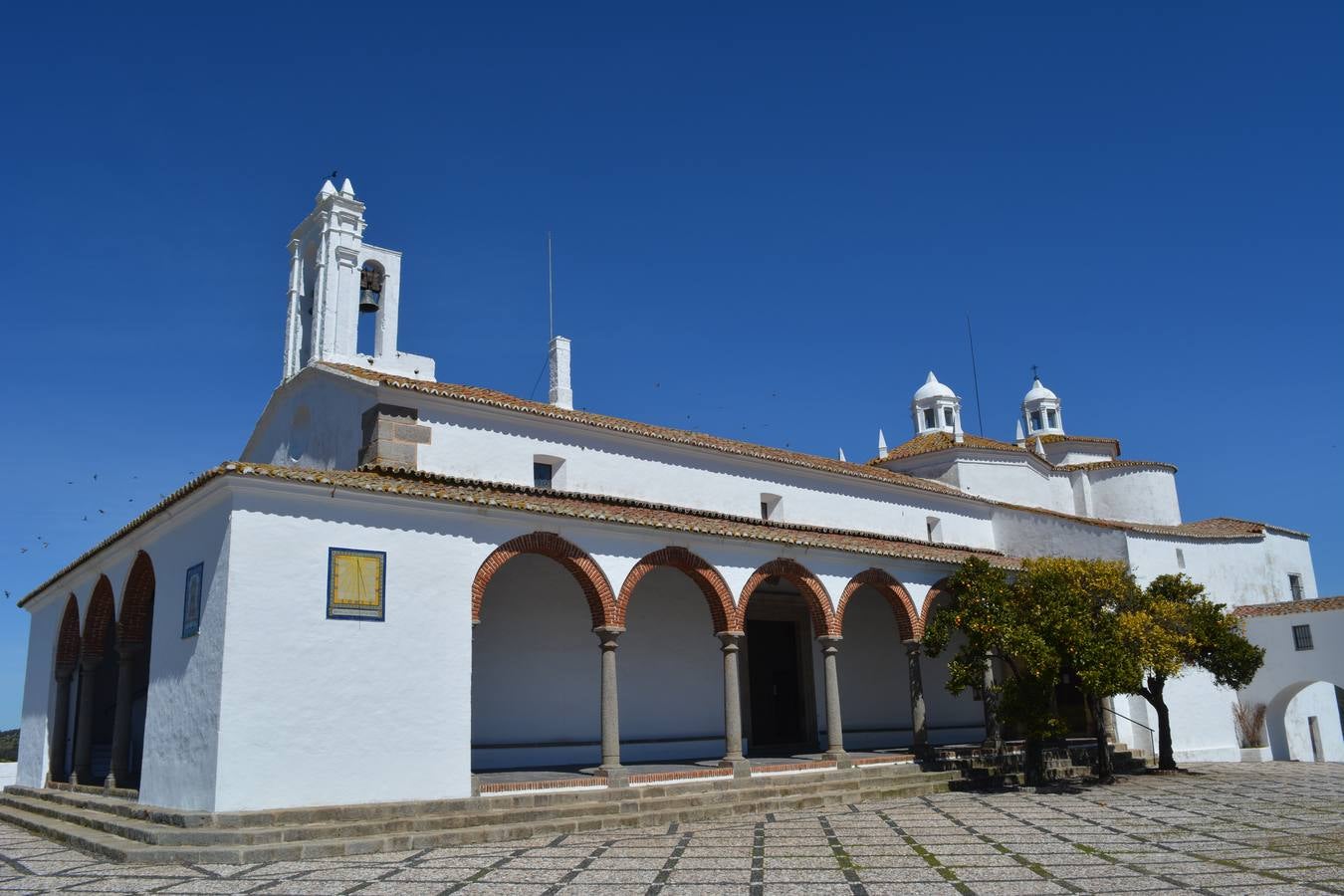 Seis artistas locales participan en la elaboración de las nuevas postales de diseño de Fregenal
