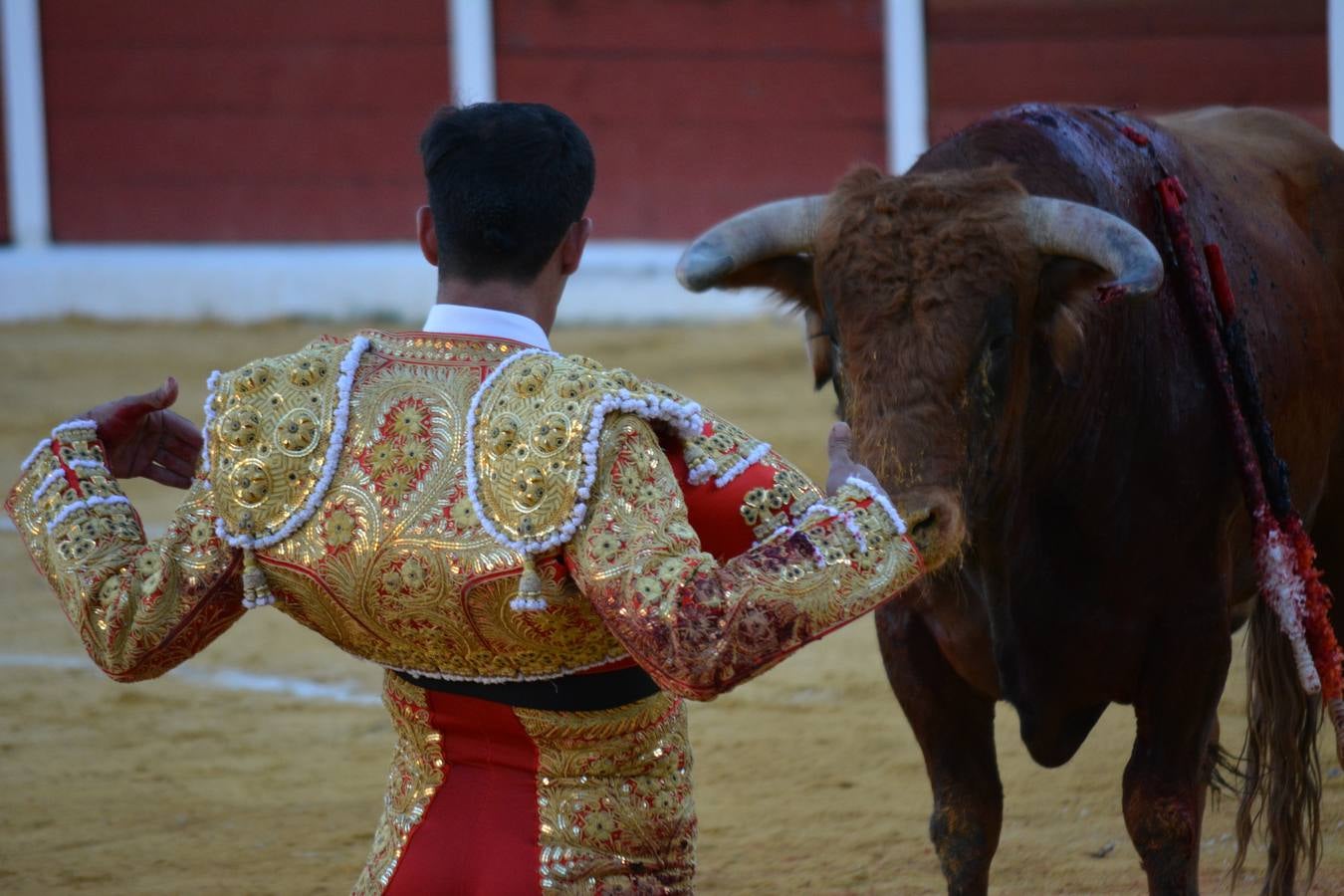 El Ayuntamiento de Fregenal regala entradas para el festejo taurino del próximo sábado en Santa Olalla del Cala