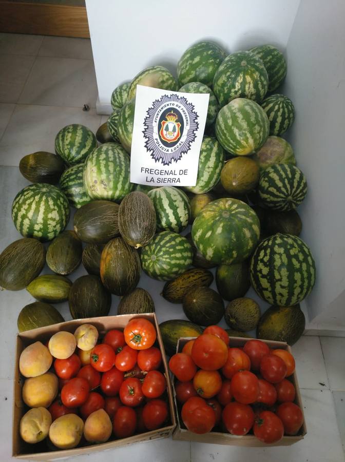 Decomiso y destrucción de fruta vendida de forma ambulante