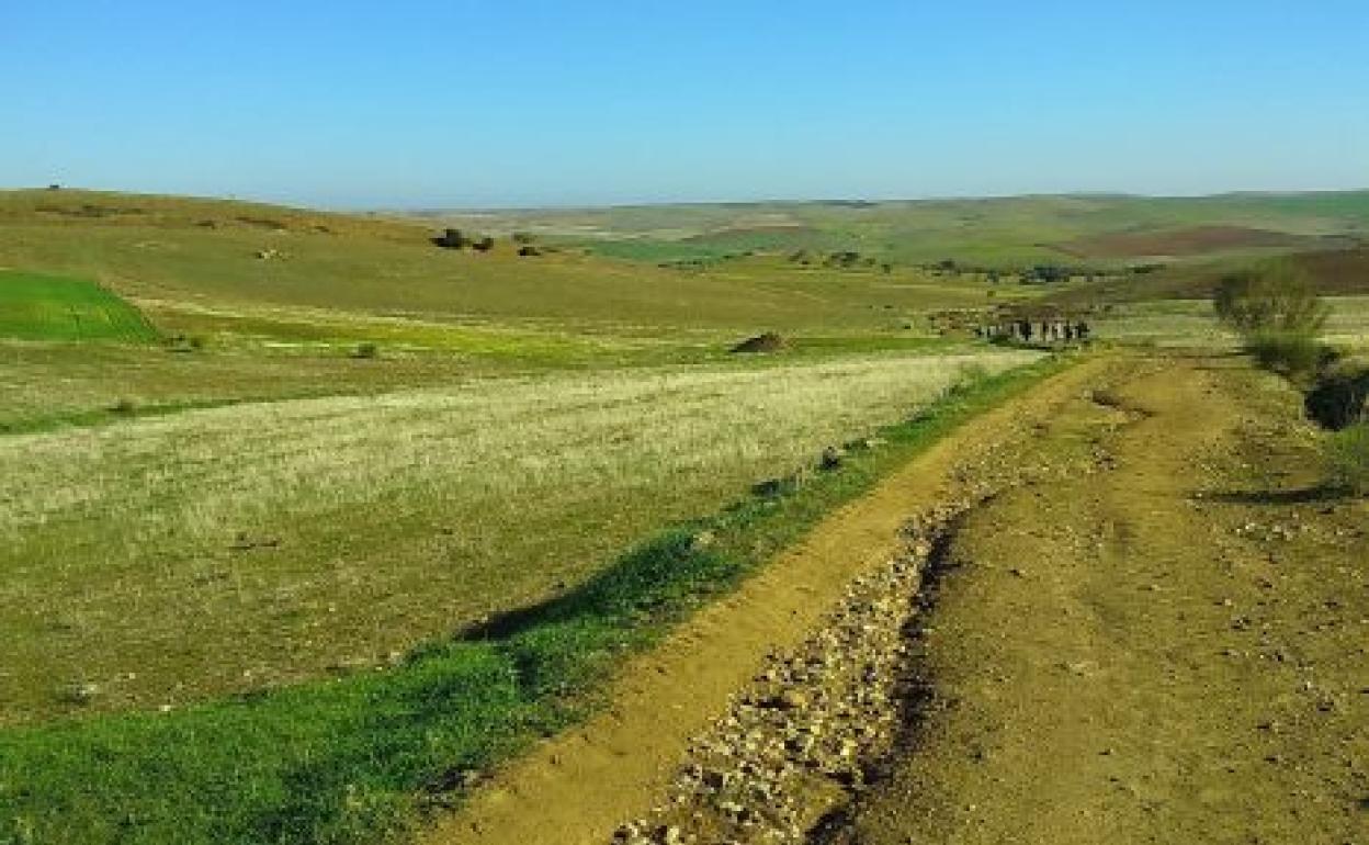 El pleno aprueba inicialmente el Catálogo de Caminos Públicos