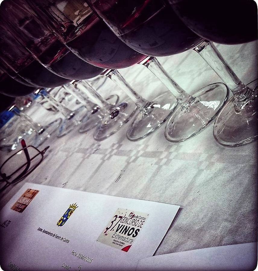 Vinos preparados para la cata a ciegas. 