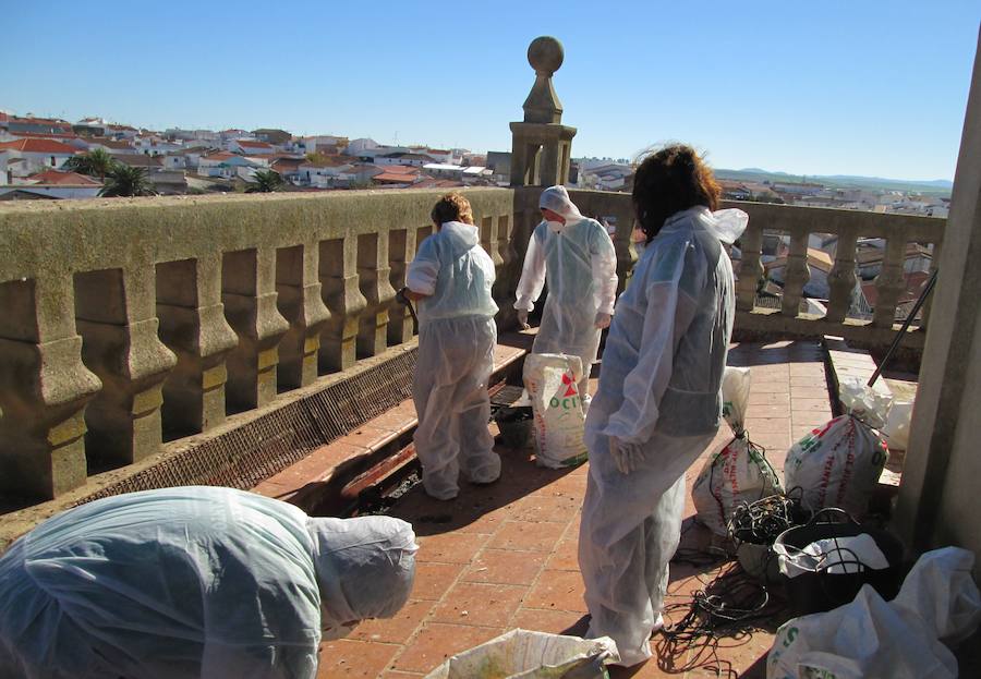 Alumnos del Aprendizext limpian la Torre Vieja. CEDIDA