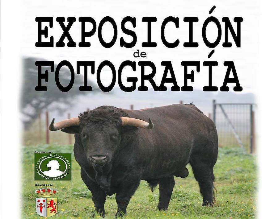 Bienvenida acoge una exposición fotográfica en torno al toro de lidia