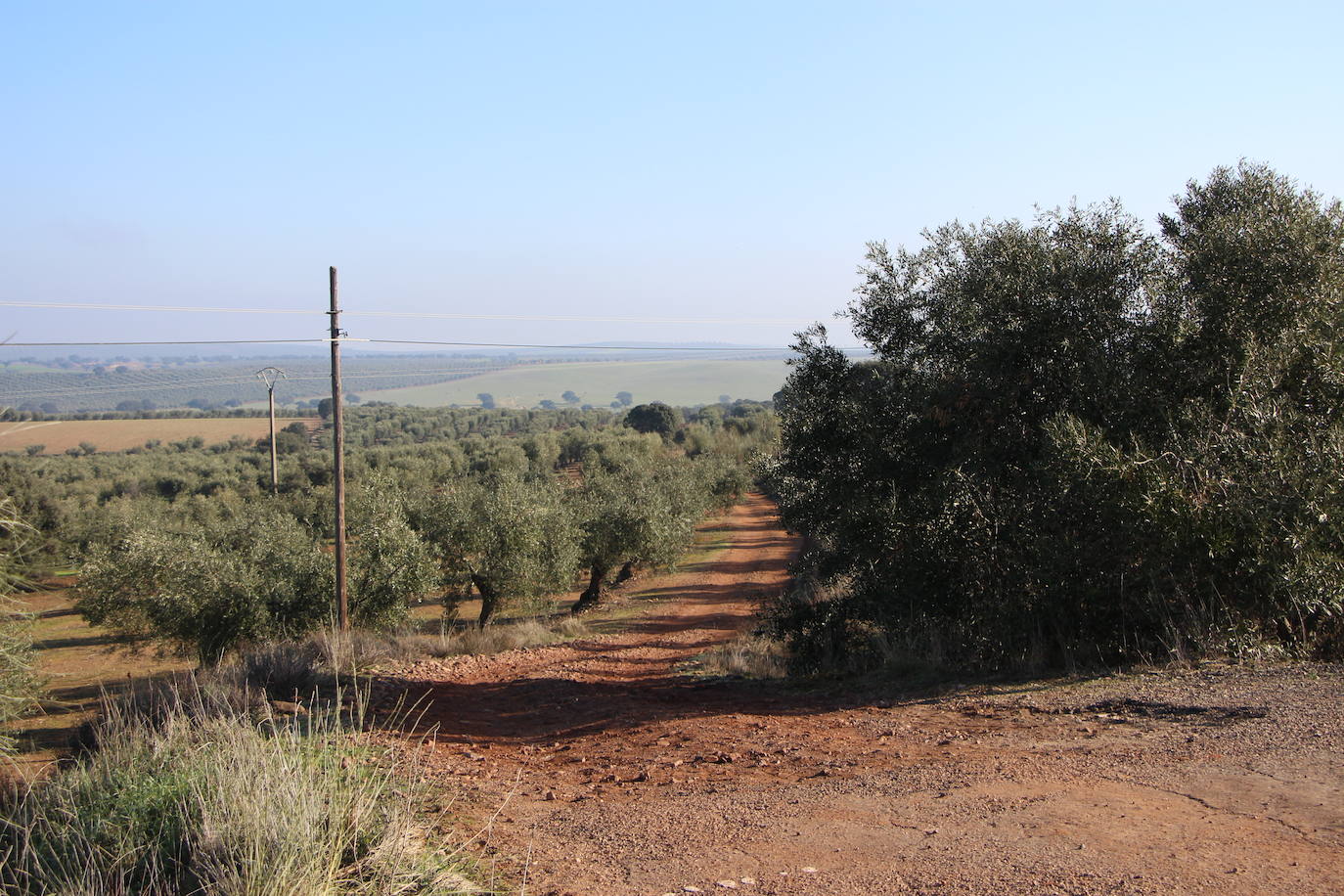 Vereda de Diego Llanos desde la carretera de Manchita.