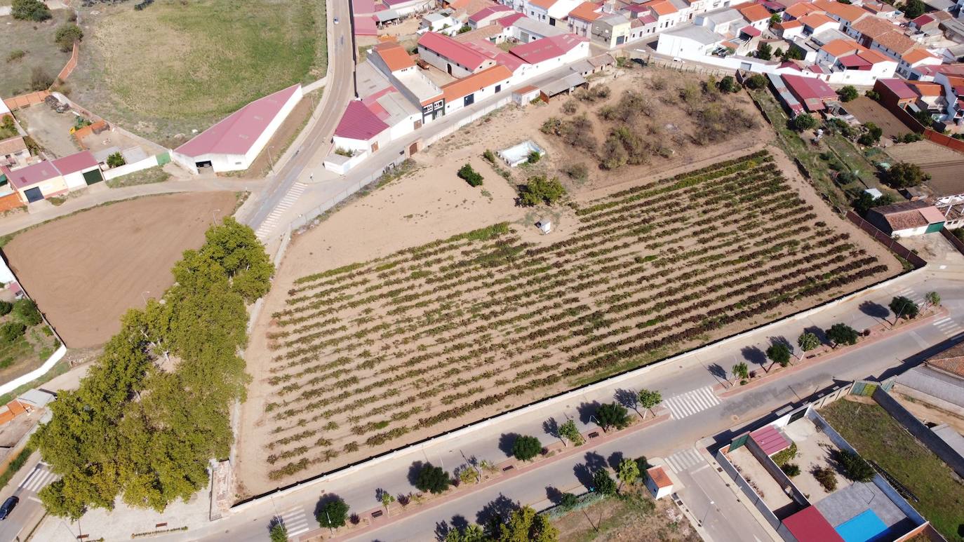 Cerca de 'las Carrascas' donde se construirá el Nuevo Centro de Convalecencia y Cuidados Continuados de Guareña.