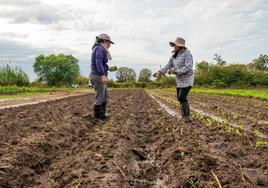 Mujeres rurales, figuras clave para asegurar el progreso de las generaciones futuras en los pueblos.