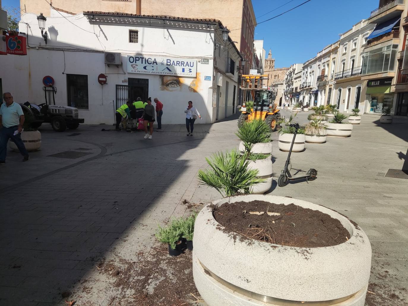 Momento de sustituir la plantación seca de los maceteros en la calle Don Diego López. Foto: PF
