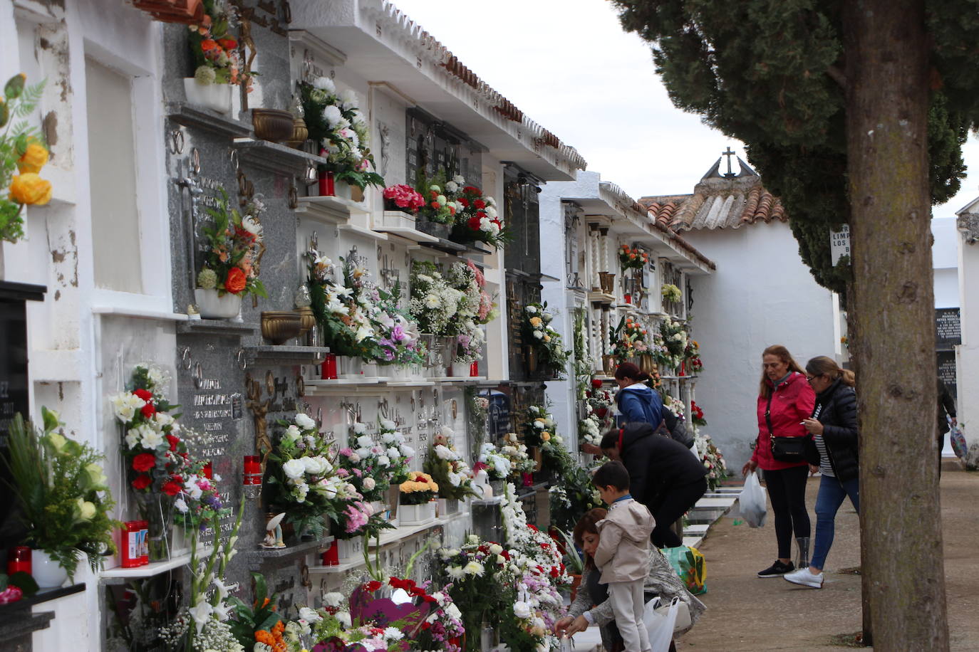 El cementerio engalanado de flores en honor y memoria de familiares fallecidos