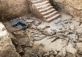 Gran sacrificio animal encontrado en el patio de Casas del Turuñuelo, de Guareña.